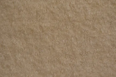 DSC_3447