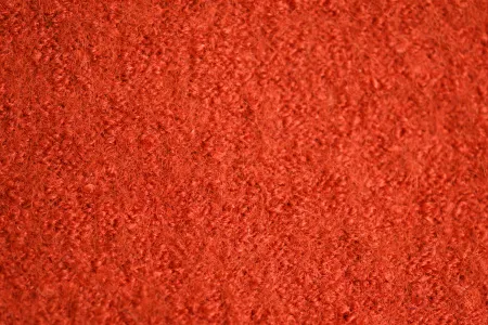 DSC_3593