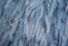 DSC_3035